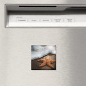 Einmaliger Starfish am Strand Magnet (In Situ (Geschirrspüler))