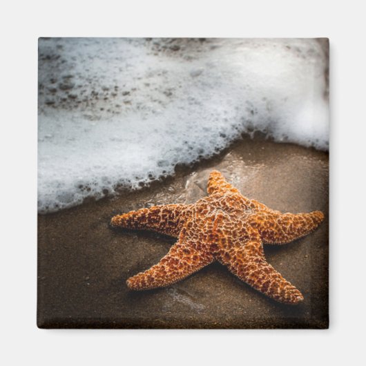 Einmaliger Starfish am Strand Magnet (Vorne)