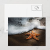 Einmaliger Starfish am Strand Postkarte (Vorne/Hinten)