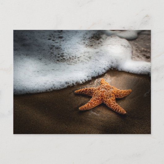Einmaliger Starfish am Strand Postkarte (Vorderseite)