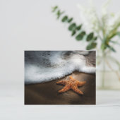 Einmaliger Starfish am Strand Postkarte (Stehend Vorderseite)