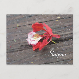 Einmaliges Flammenblossom auf dem Seeweg Postkarte
