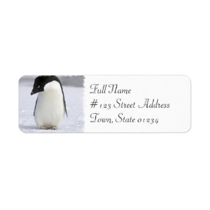 Einmaliges Pinguin-Rücksendeadresse-Mailing-Label