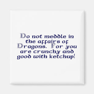 Einmischen Sie nicht sich in den Angelegenheiten Magnet