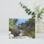 Einnahme eines Dip Racoon Postkarte (Stehend Vorderseite)