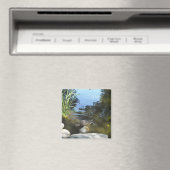 Einnahme eines Raccoon Magnet (In Situ (Geschirrspüler))