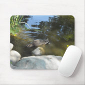Einnahme eines Raccoon Mousepad (Mit Mouse)