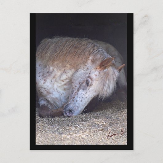 Einnehmen auf einfache Postkarte (Vorderseite)