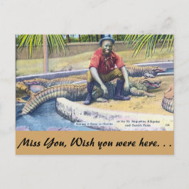 Einnehmen in Florida Postkarte
