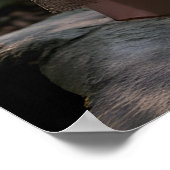 Einrichtung eines Whimsical Afternoon Tea im Mysti Poster (Ecke)