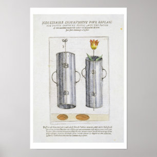 Einrichtung für die Wiederbepflanzung von Blume vo Poster