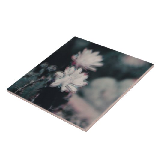Eins Fliese (Seite)