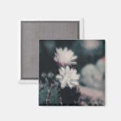 Eins Magnet (Vorderseite/Rückseite)