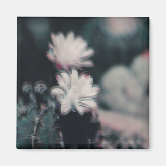 Eins Magnet