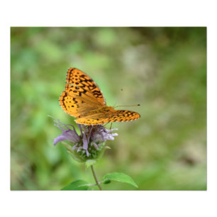 EINS MIT DER NATUR GEDRUCKT FOTODRUCK