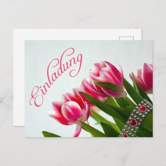 Eins Postkarte (Vorne/Hinten)