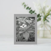 einsam postkarte (Stehend Vorderseite)