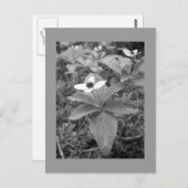 einsam postkarte (Vorne/Hinten)