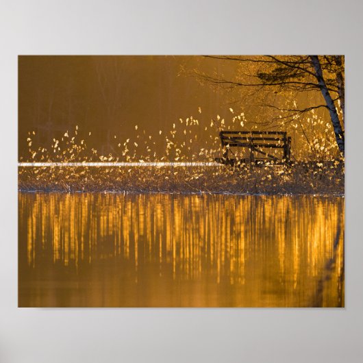 Einsame Bank am See im goldenen Licht Poster (Vorne)