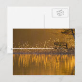 Einsame Bank am See im goldenen Licht Postkarte (Vorne/Hinten)