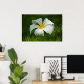 einsame Blume Poster (Heimbüro)