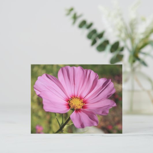 Einsame Blume Postkarte (Stehend Vorderseite)