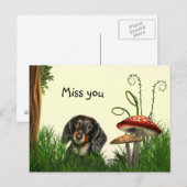 Einsame Dackel Postkarte (Vorne/Hinten)