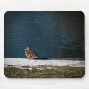 Einsame Ente Mousepad
