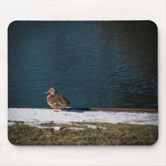 Einsame Ente Mousepad (Vorne)