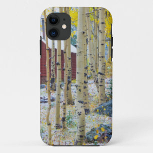 Einsame Hütte im Wald auf der Grand Mesa Case-Mate iPhone Hülle
