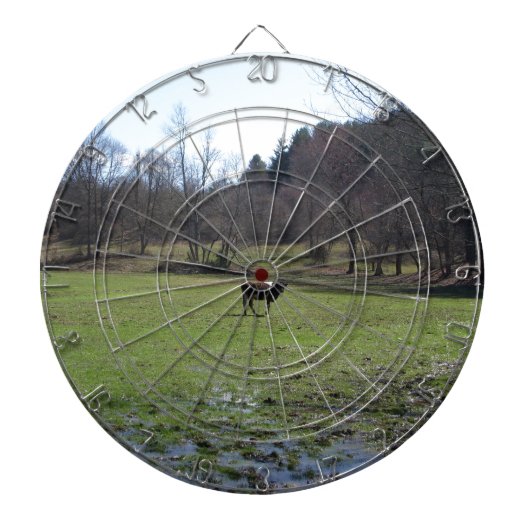 einsame Kuh Dartscheibe (vorne)