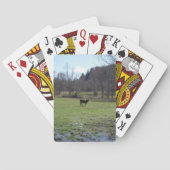 einsame Kuh Spielkarten (Rückseite)