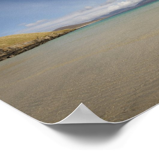 einsame Moskitos" Poster (Ecke)