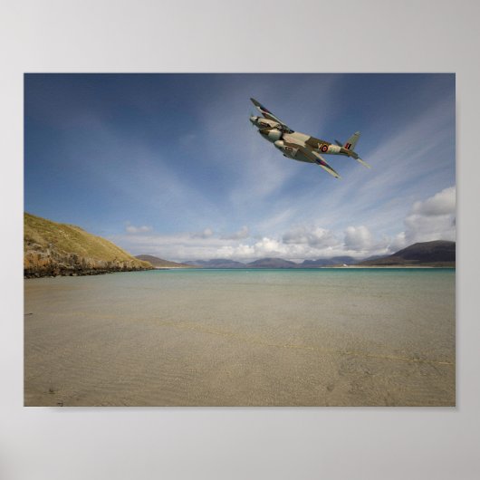 einsame Moskitos" Poster (Vorne)