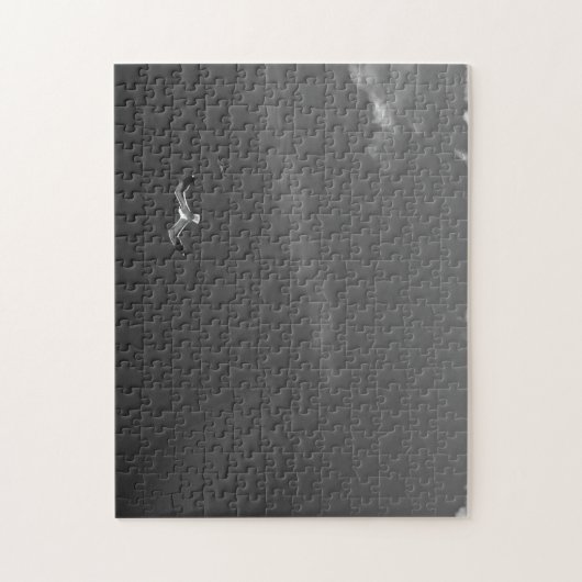 Einsame Möwen Puzzle (Vertikal)