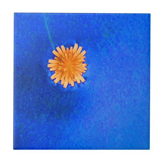 Einsame orangefarbene Blume Fliese (Vorderseite)