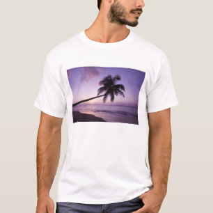 einsame Palme bei Sonnenuntergang, Coconut Grove B T-Shirt