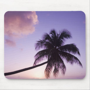 Einsame Palme bei Sonnenuntergang, Coconut Grove S Mousepad