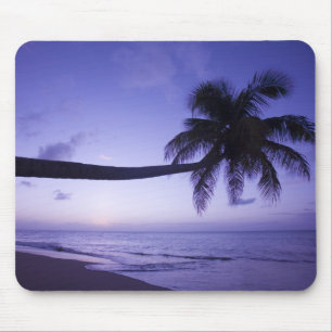 Einsame Palme bei Sonnenuntergang, Coconut Grove S Mousepad