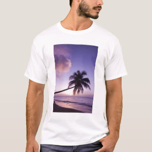 Einsame Palme bei Sonnenuntergang, Coconut Grove S T-Shirt