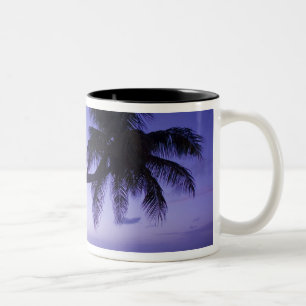 Einsame Palme bei Sonnenuntergang, Coconut Grove S Zweifarbige Tasse