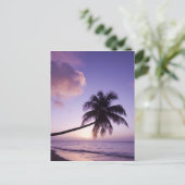 einsame Palme bei Sonnenuntergang, Strand von Coco Postkarte (Stehend Vorderseite)