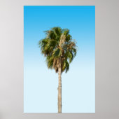 Einsame Palme Poster (Vorne)