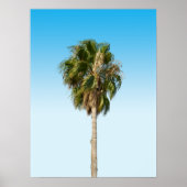 Einsame Palme Poster (Vorne)