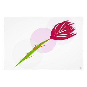 EINSAME ROSE FOTODRUCK