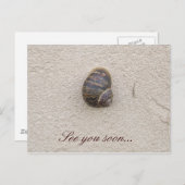 Einsame Schnecke an der Wand Postkarte (Vorne/Hinten)