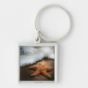 Einsame Starfish auf dem Strand Schlüsselanhänger