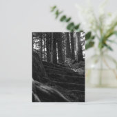 Einsame Treppe Postkarte (Stehend Vorderseite)