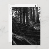 Einsame Treppe Postkarte (Vorne/Hinten)