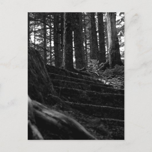 Einsame Treppe Postkarte (Vorderseite)